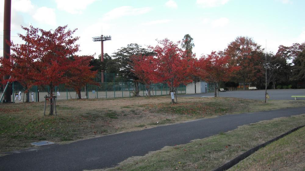 park. Green is overflowing in the city center space, Nishi-ku, Onoki