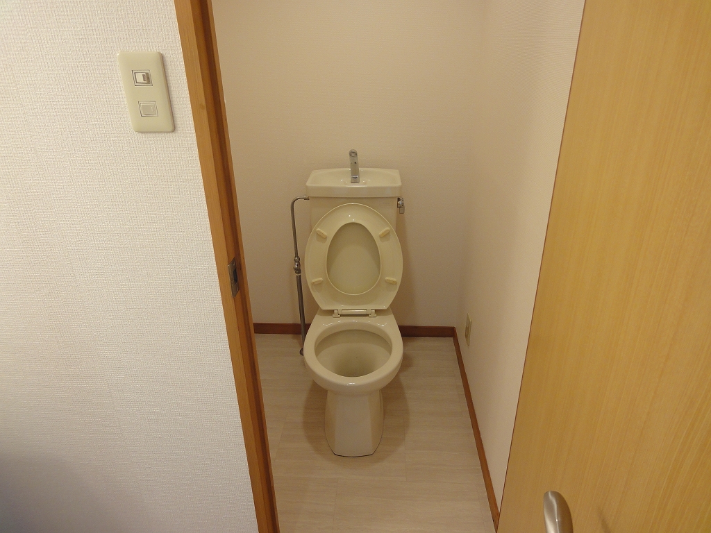 Toilet. Toilet