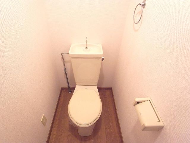 Toilet. Western-style toilet! 