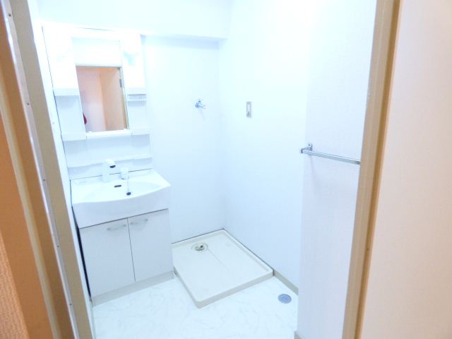 Washroom. Bathroom Vanity, Indoor Laundry Storage