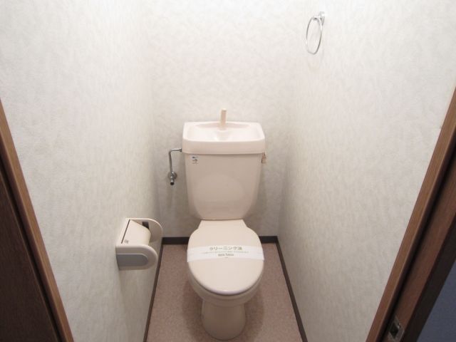 Toilet. Toilet with cleanliness