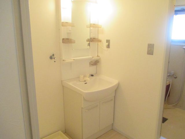 Washroom. Bathroom Vanity