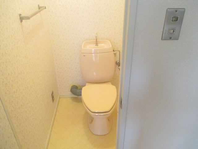 Toilet. Is the power supply located in the toilet