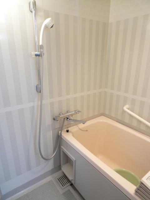 Bathroom. With handrail