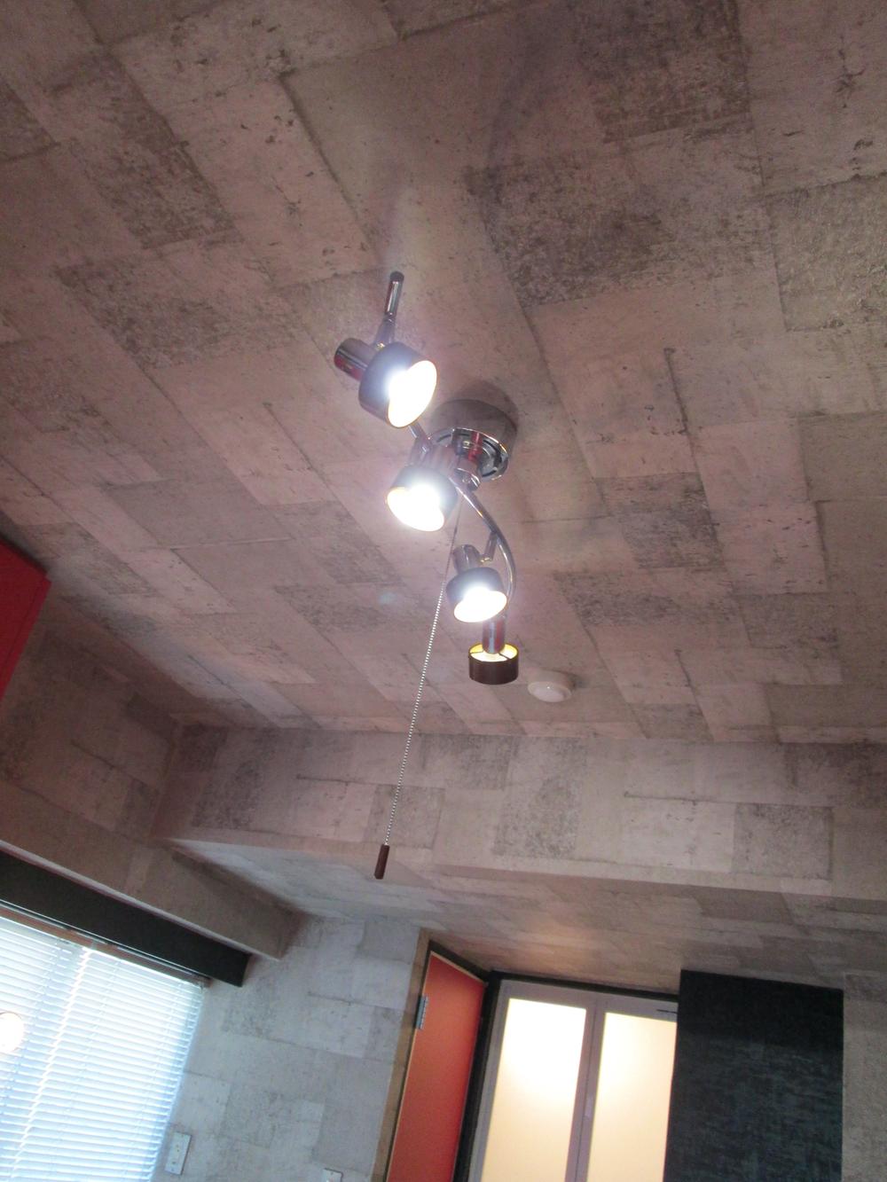 Other introspection. ceiling