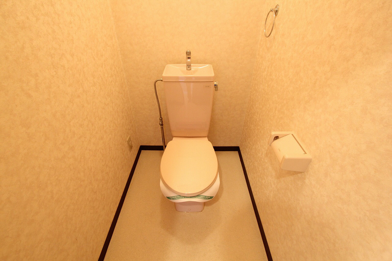 Toilet. Toilet of Western-style toilet seat. 