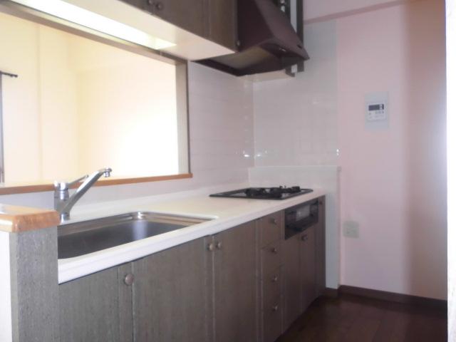 Kitchen. Indoor (11 May 2013) Shooting