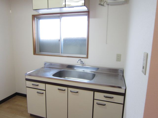 Kitchen. Large kitchen is attractive! 