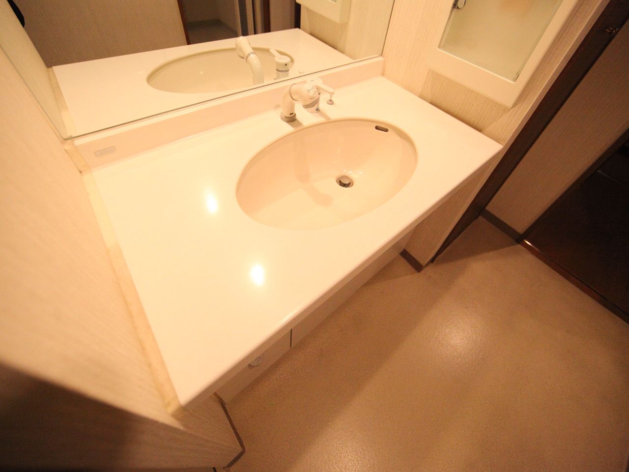 Washroom. Dressing room Independent wash basin (shampoo dresser)