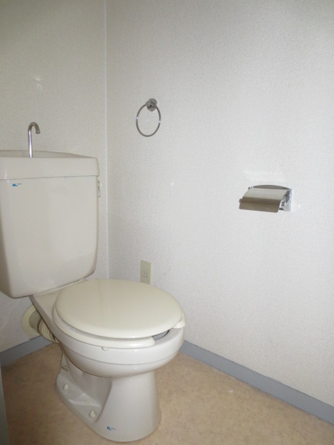 Toilet. It is with towel ring