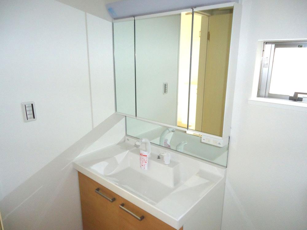 Wash basin, toilet. Vanity with shower