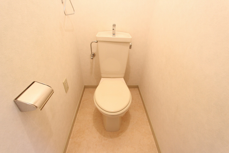 Toilet. Calm toilet in which the white tones. 