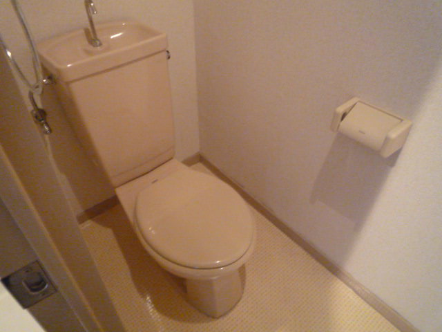 Toilet. Western-style toilet