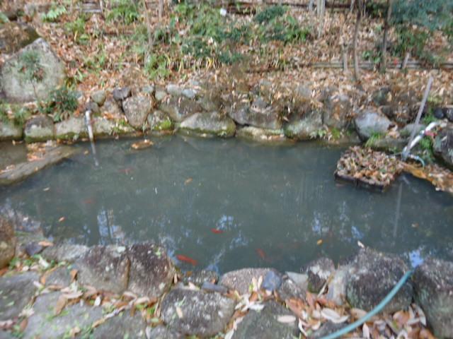 Other common areas. Chibikko pond to swim even goldfish waterfalls.