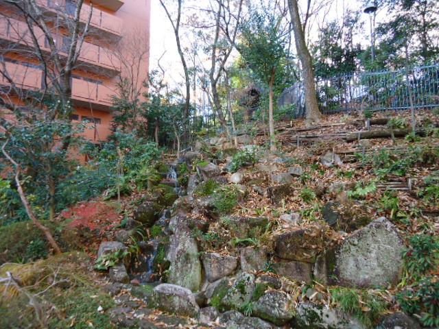 Other common areas. Natural green space.