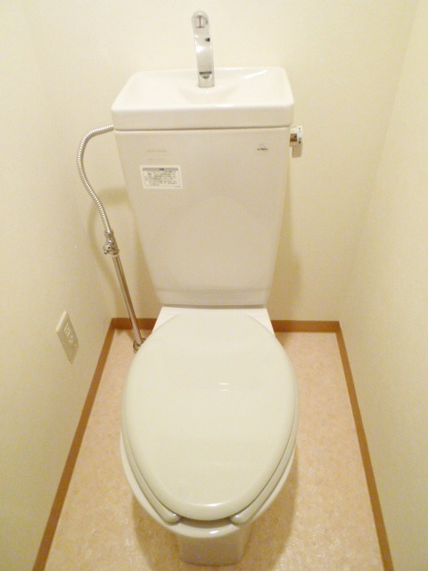 Toilet. Toilet