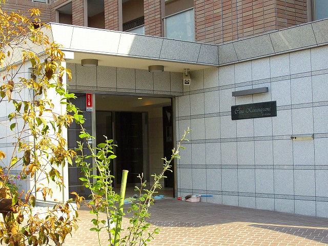 Entrance. Elegant structure of the entrance
