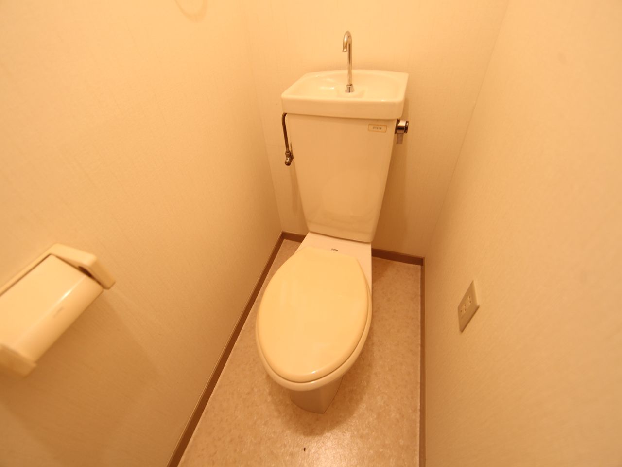 Toilet. Western-style toilet