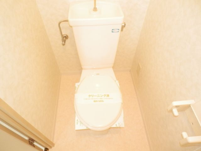 Toilet. It is a toilet that can decorate to their liking. 