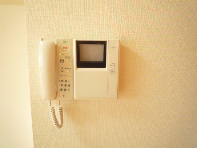 Security. Monitor with intercom