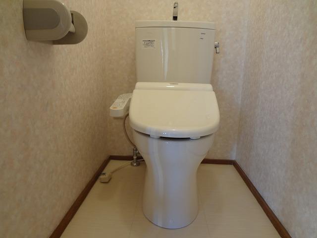 Toilet. Already replaced January 2010