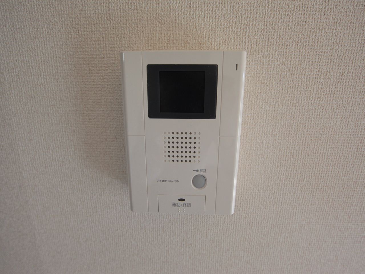 Security. Intercom with TV monitor