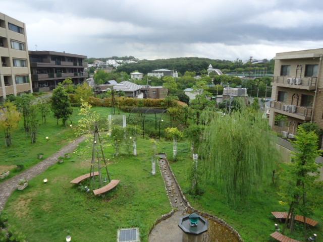 Garden. Local (September 2013) Shooting