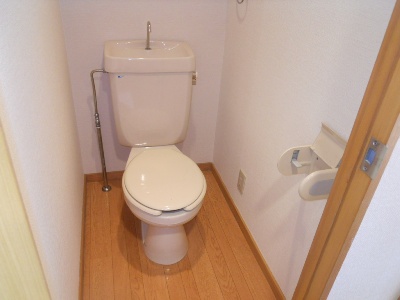 Toilet. Toilet