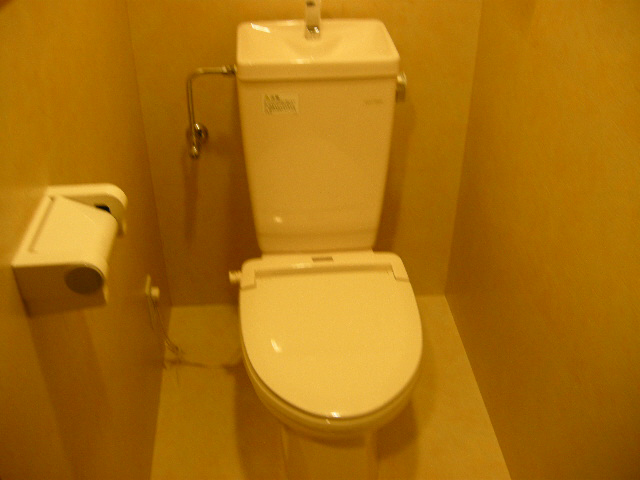 Toilet. Place higher to settle even in the room! ?