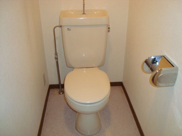 Toilet. It is a toilet with a clean.