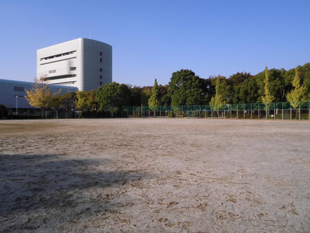 Other local. Local (11 May 2013) Shooting