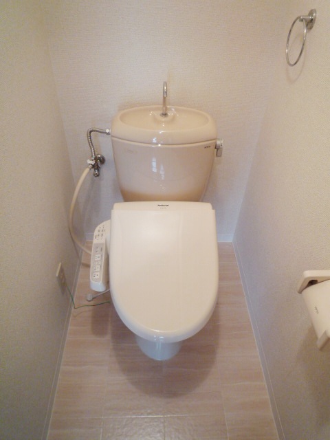 Toilet. Western-style toilet