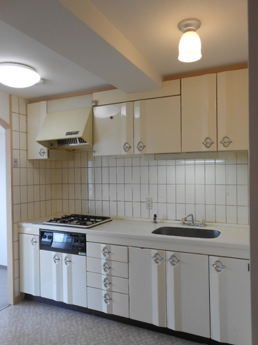 Kitchen. Pure White of stand-alone kitchen