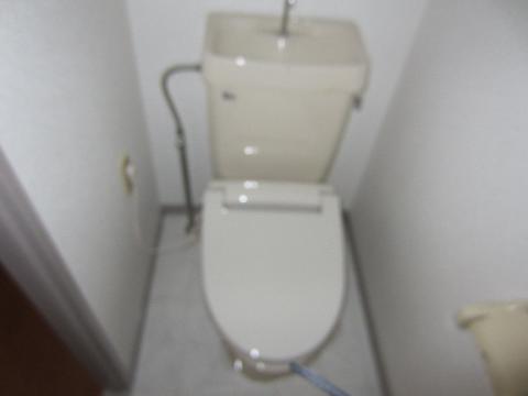 Toilet. WC