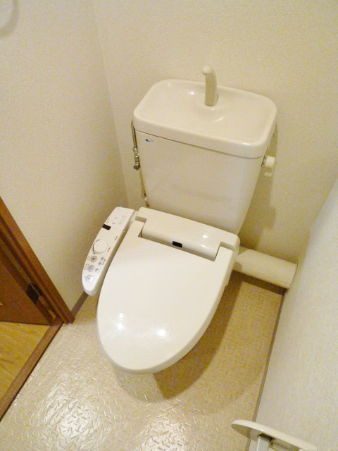 Toilet. WC Shower type