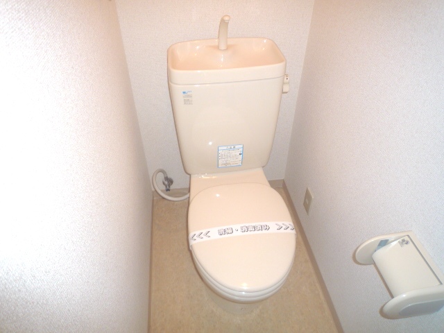 Toilet. Western-style toilet