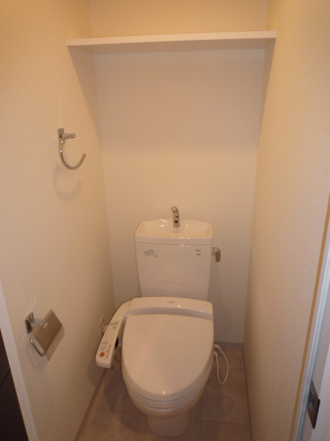 Toilet. Comfortable Washlet