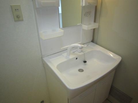 Washroom. Bathroom Vanity