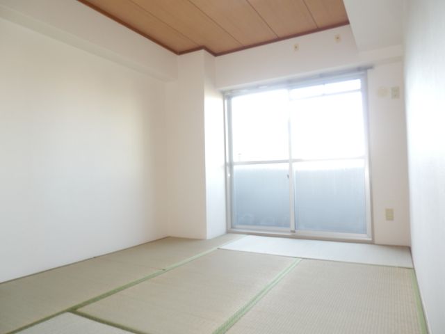 Living and room. Sunny tatami rooms. 