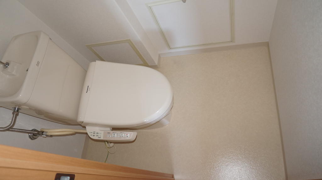 Toilet. Bidet with toilet