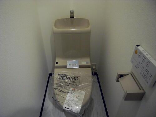 Toilet. Shower toilet