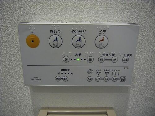 Other. Hot water cleaning function