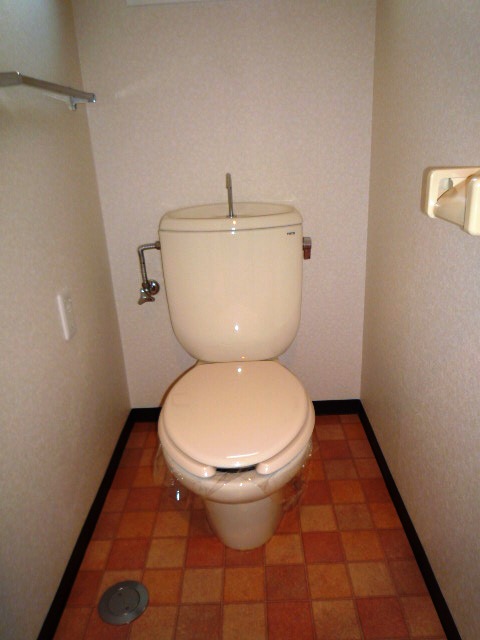 Toilet. The image is a separate room in the same property. It will honor the current state.