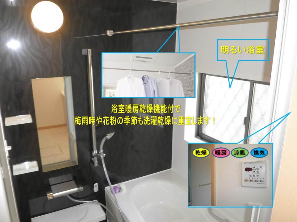 Bathroom. H25. 10 May 30 local shooting