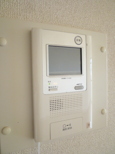 Security. Auto-Lock interlocking monitor with intercom
