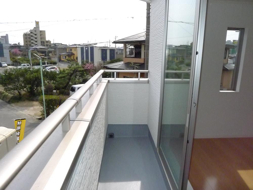 Other. * Different from the actual ones