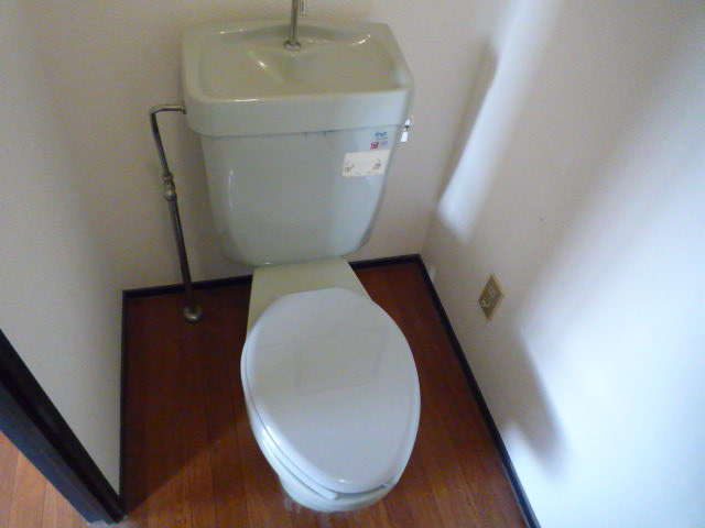 Toilet. Western-style toilet