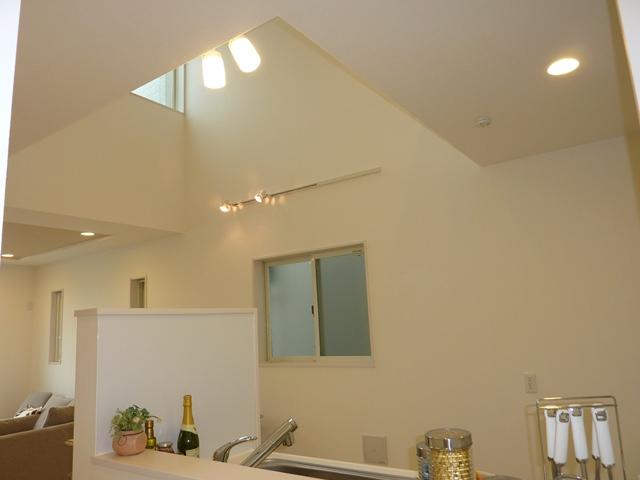 Other. It is the example of construction. It is different from the actual property. 