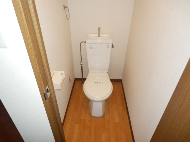 Toilet. It is a toilet with a clean. 