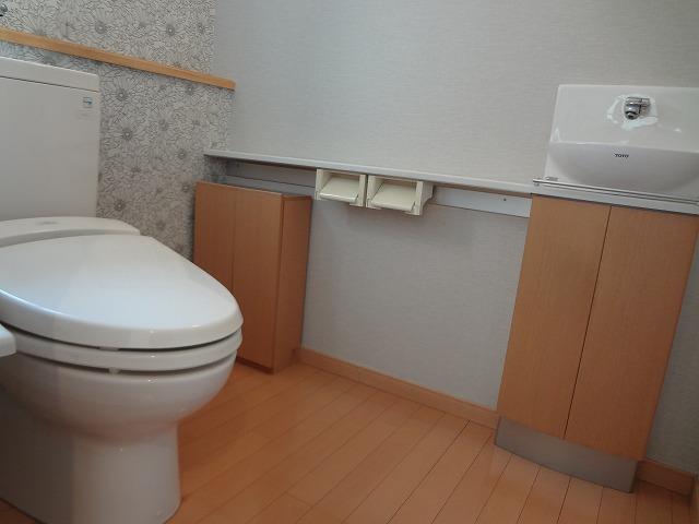 Toilet. With hand washing counter